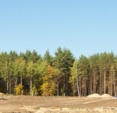 Ход строительства дома 3 в ЖК GloraX Экосити Премиум -