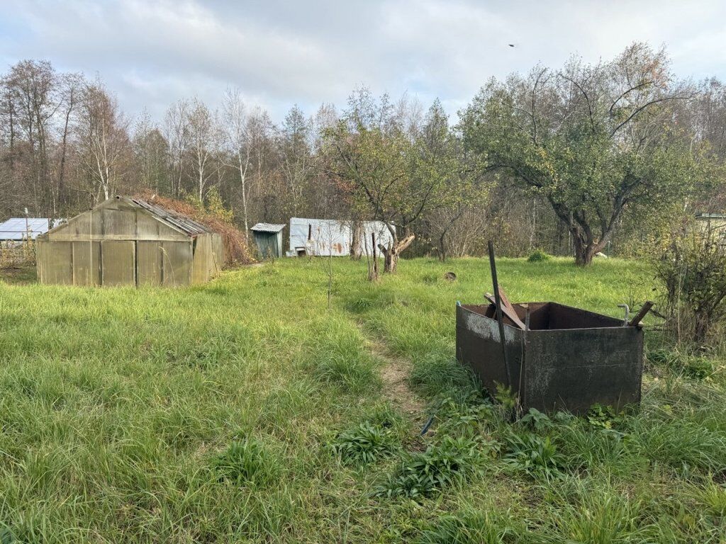 Перечень растений-«иноагентов» расширят в Нижегородской области - фото 2