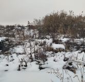 Ход строительства дома 5 в ЖК Расцветай на Зорге -