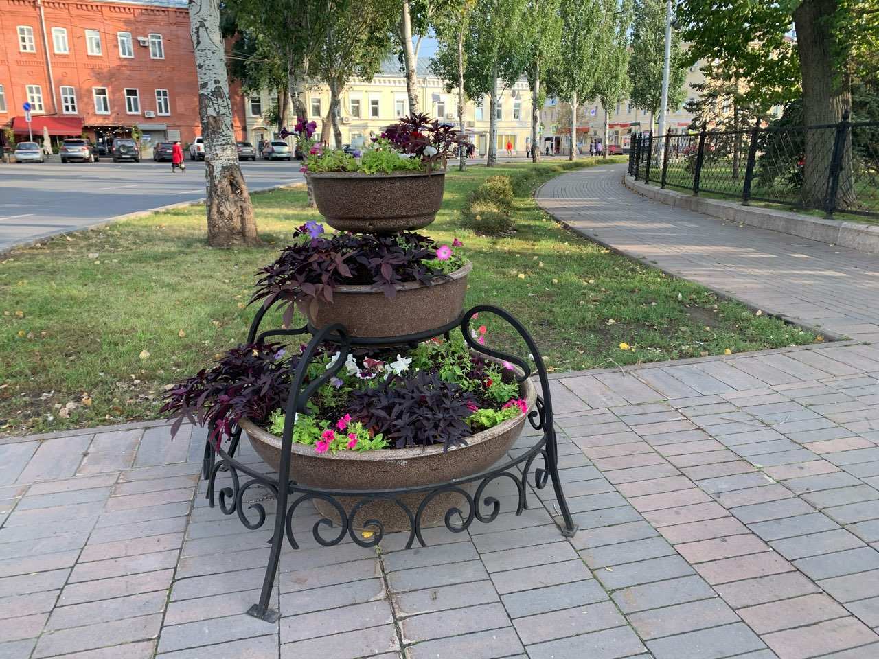 Почти 32 тысячи кв. м цветников появится в Нижнем Новгороде в 2024 году - фото 1