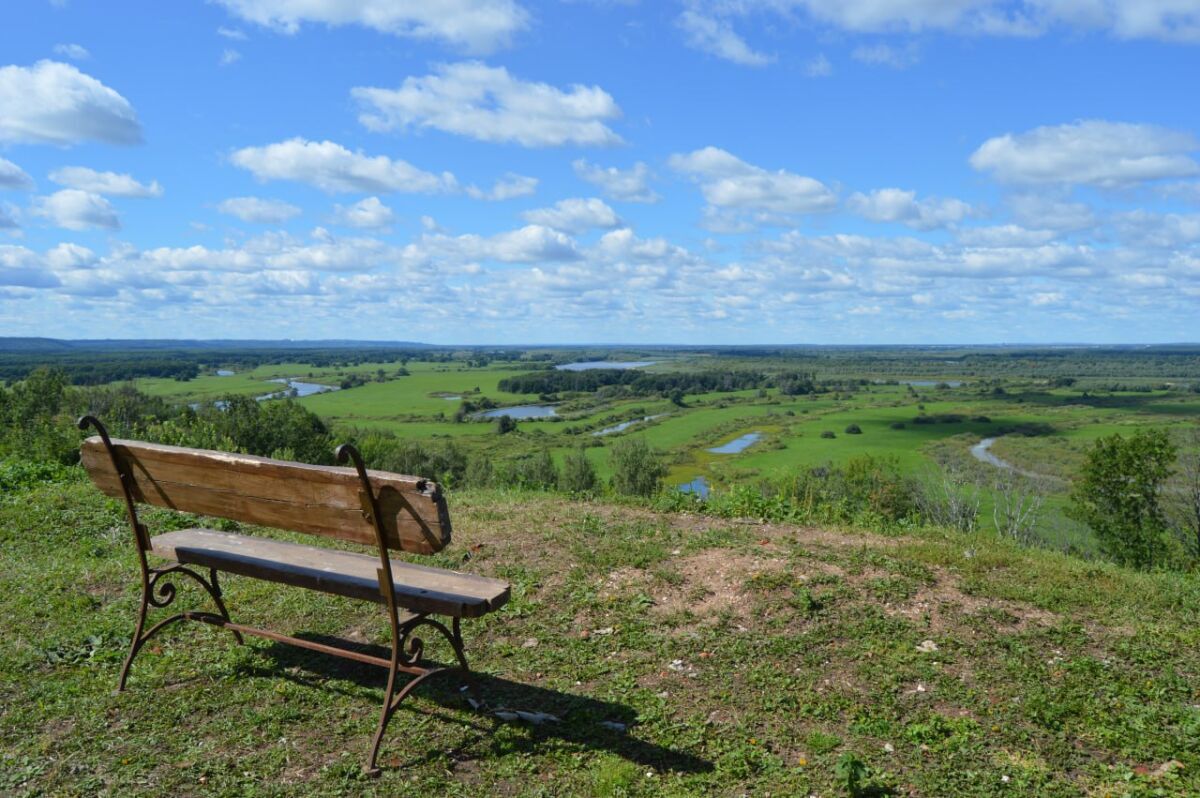 Медики Ростовской области смогут бесплатно получить земельные участки - фото 1