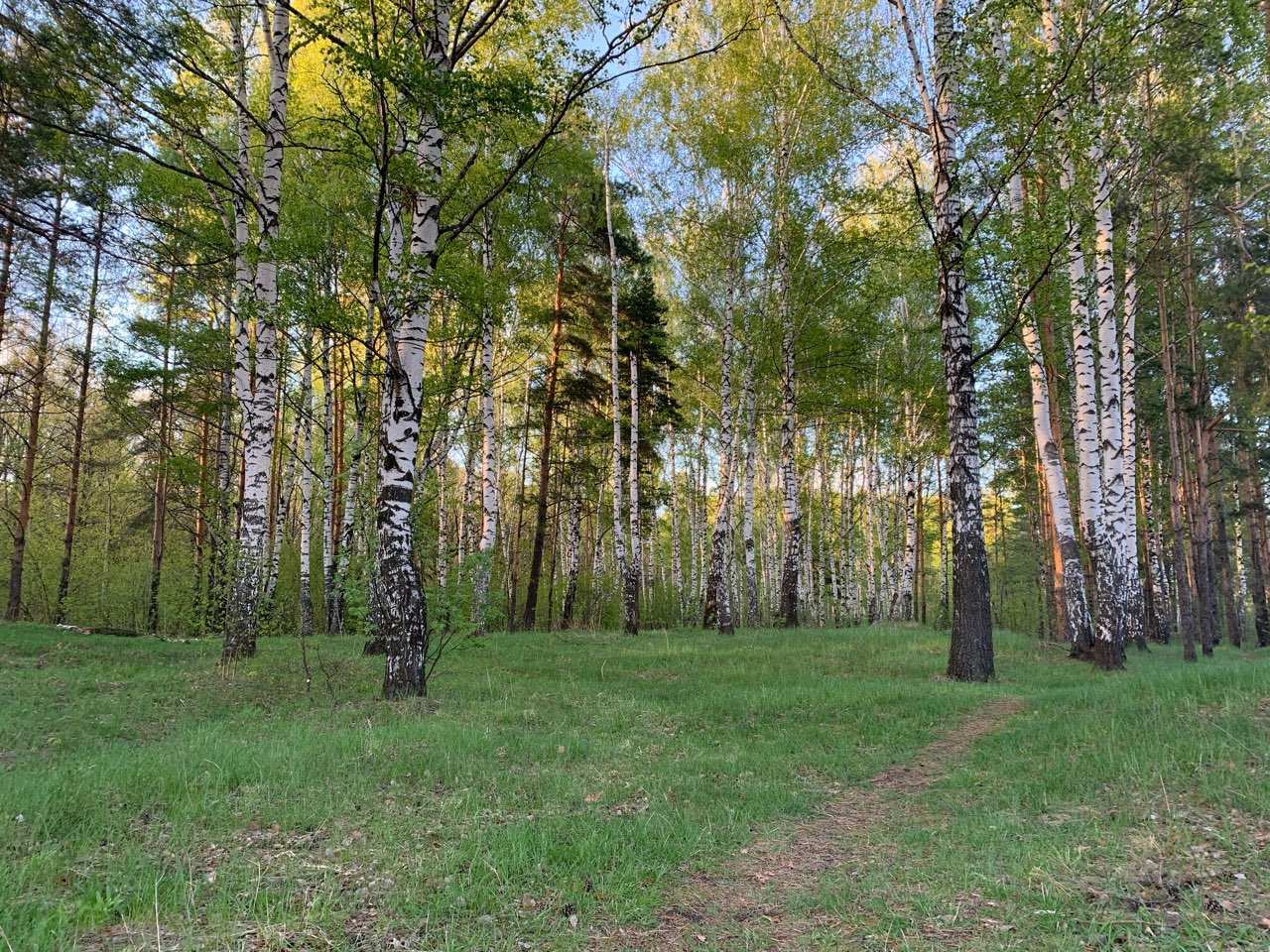 Нижегородскую область убрали из проекта по созданию национального парка - фото 1