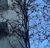 Ход строительства дома 2 в ЖК Бик Тауэр -