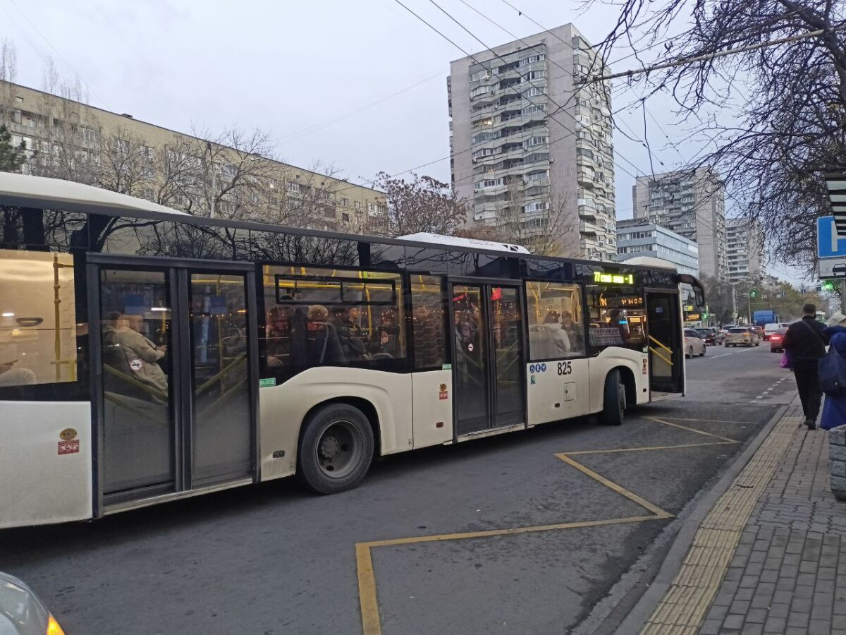 На Дону УФАС приостановило конкурс на 17 садовых маршрутов из-за жалобы - фото 1