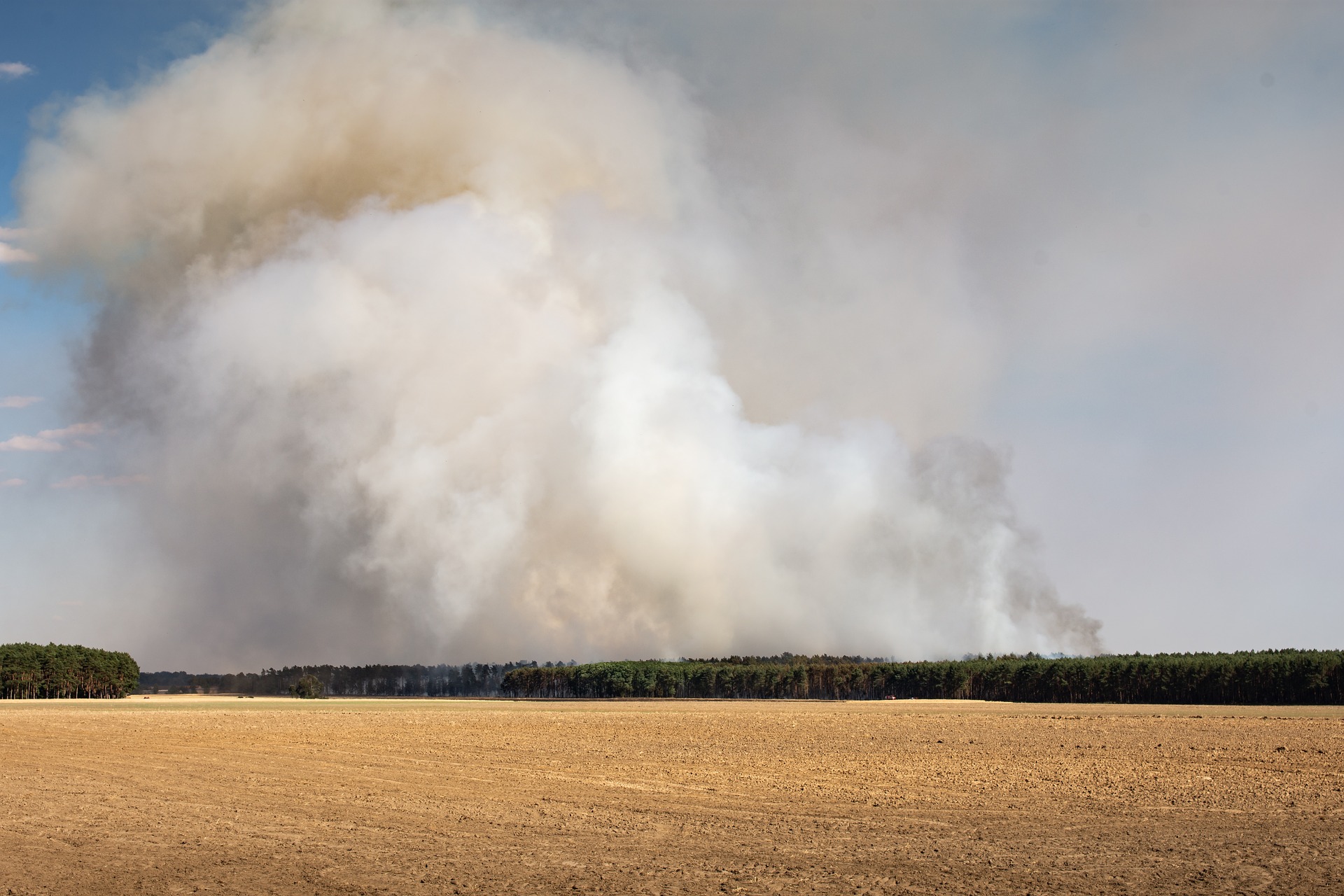 В Воронежской области наблюдается взрывной рост пожарной опасности - фото 1