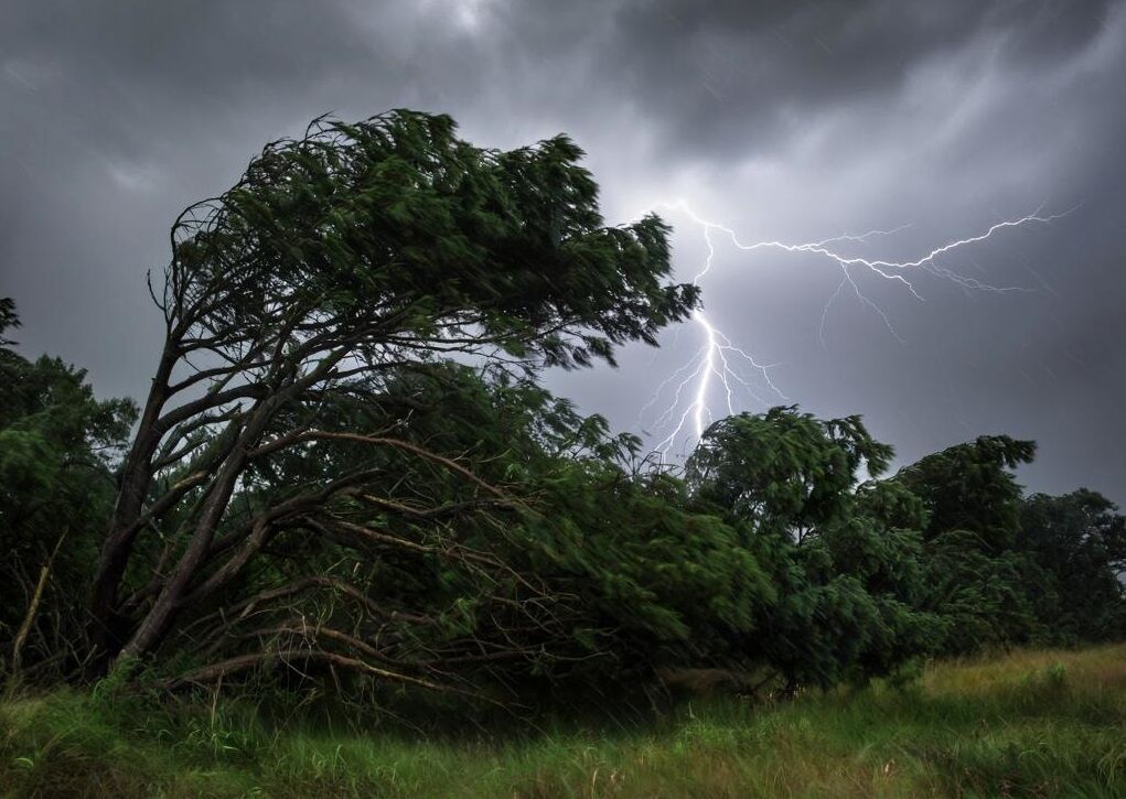 В Ростовской области объявили штормовое предупреждение на 9 и 10 октября - фото 1