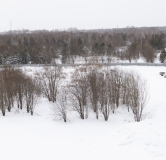 Ход строительства дома 24 в ЖК Балтым-Парк -