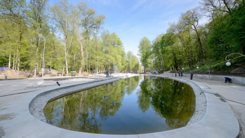 Водолазы очистят пруд в Центральном парке Воронежа - фото 1